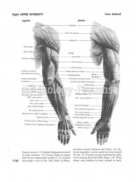 Muscles of the right upper extremity back view