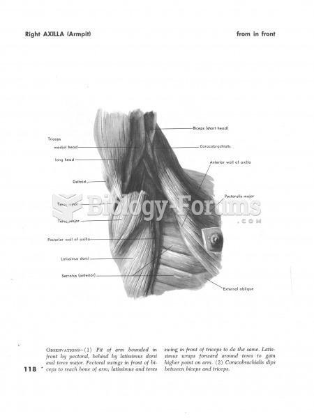 Muscles of the right axilla armpit