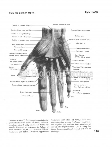 Muscles of the right hand back view