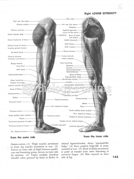 Muscles of the Right Lower Extremity