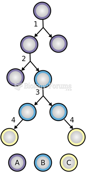 Stem cell division and differentiation