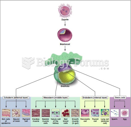 Stem cells in mammalian development