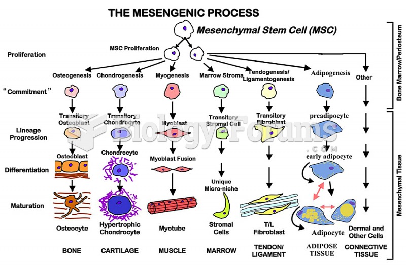 The Mesengenic Process in stem cells