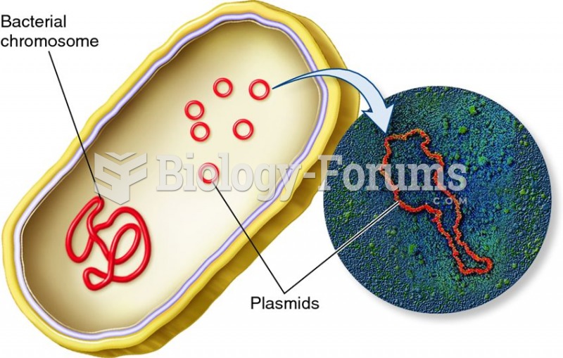 Plasmids in a bacterial cell.
