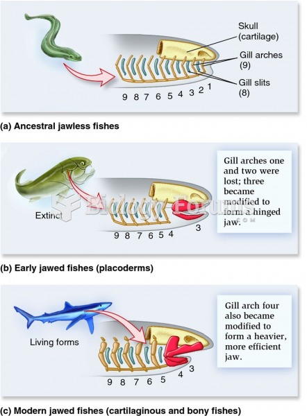 The evolution of the vertebrate jaw