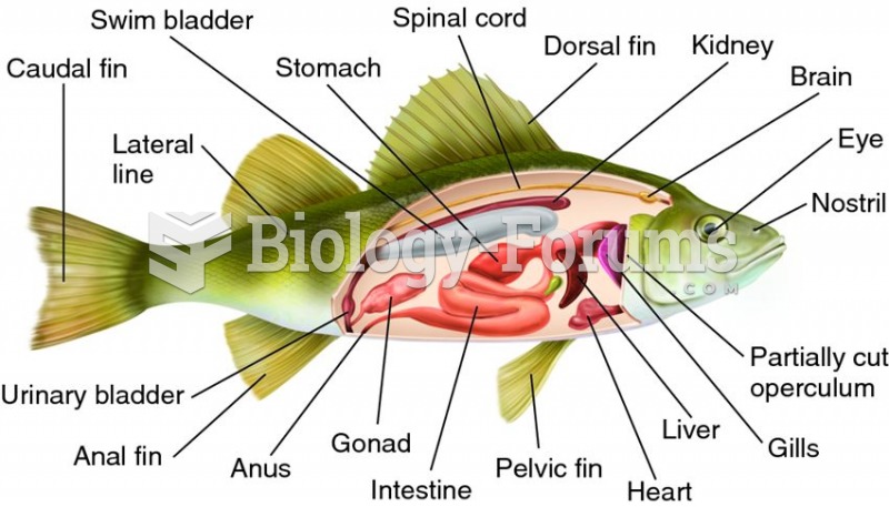 Generalized body plan of a bony fish