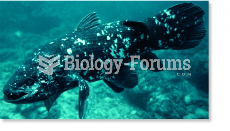 A lobe-finned fish, the coelacanth (Latimeria chalumnae)