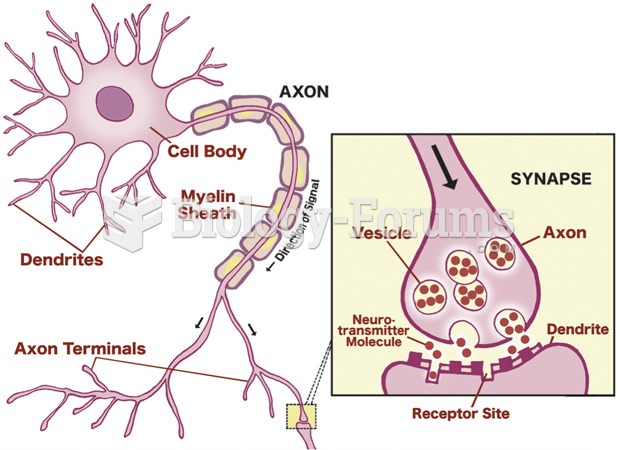 Neuron and synapse