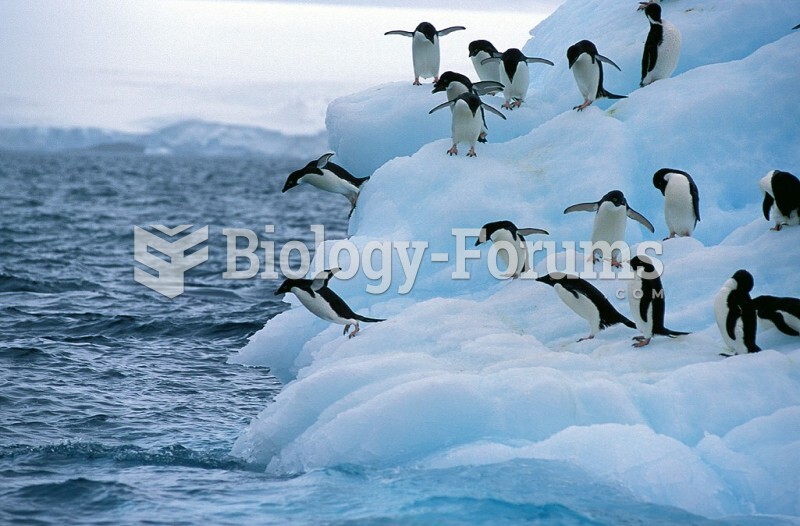 Adelie Penguins (Pygoscelis adeliae) on an Antarctic iceberg.