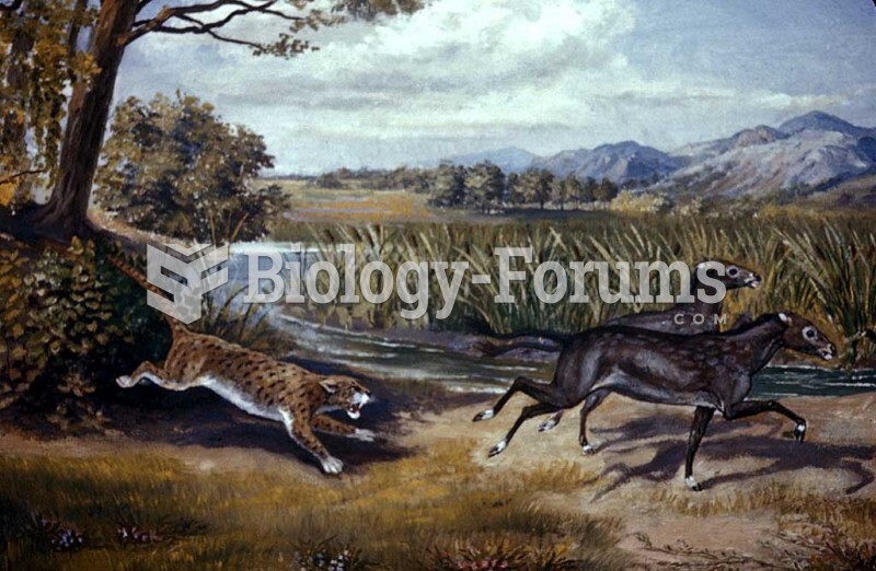 Cenozoic mammal reconstruction, Dinictis chasing Mesohippus prey. 