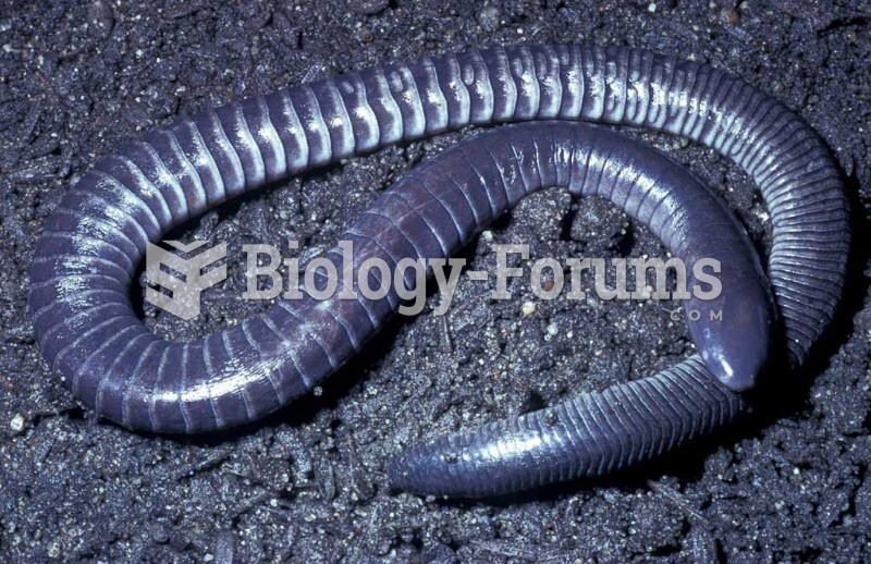 A Caecilian amphibian (Dermophis mexicana). Damp forests of Mexico. 