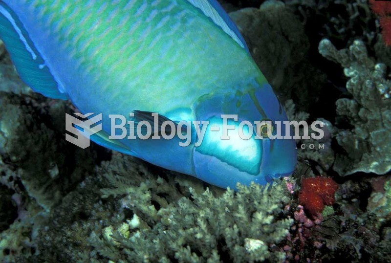Bleeker's Parrotfish (Scarus bleekeri). Fiji. 