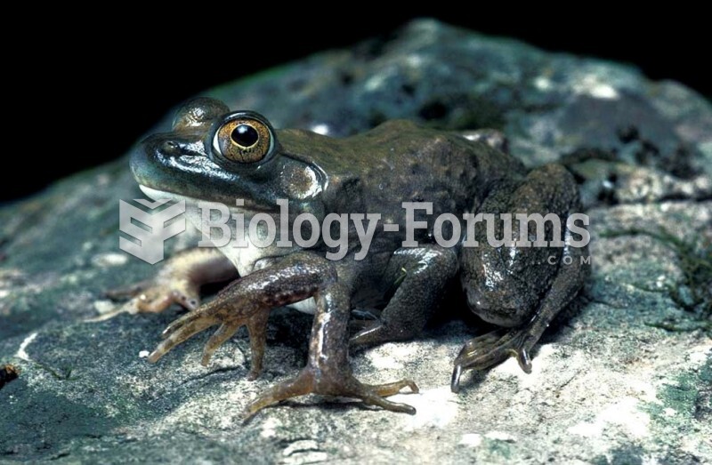 Bullfrog (Rana catesbiana),  6-legged frog with all legs functional . 