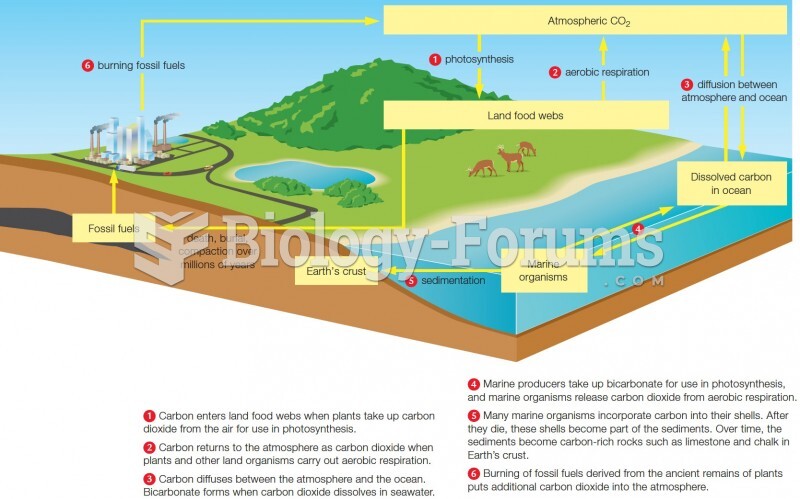 The carbon cycle