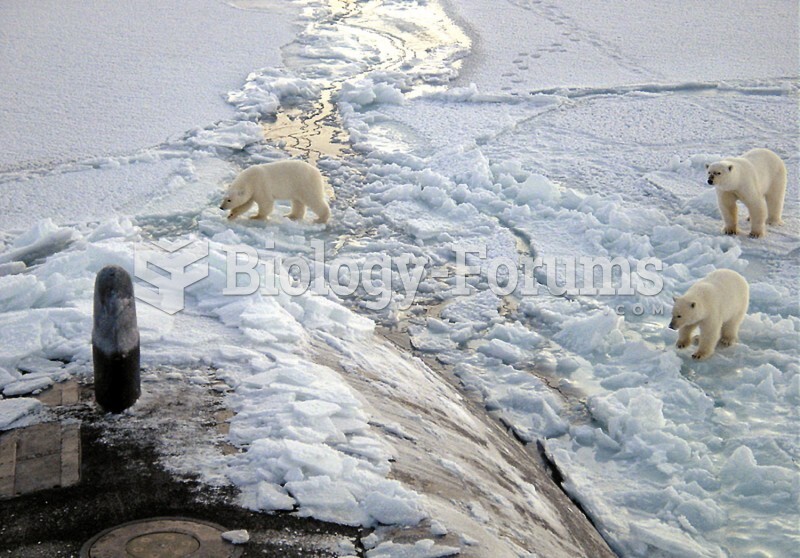 Three polar bears investigate an American submarine that surfaced in ice-covered Arctic waters. 