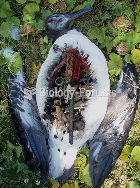 Albatross Chick Fed 300 Pieces of Plastic