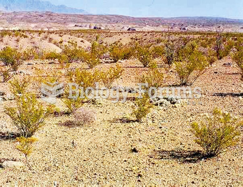 Vegetation in Arizona’s Sonoran Desert