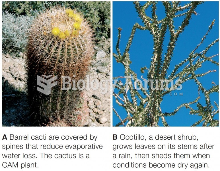 Perennials Adapted to Desert Conditions