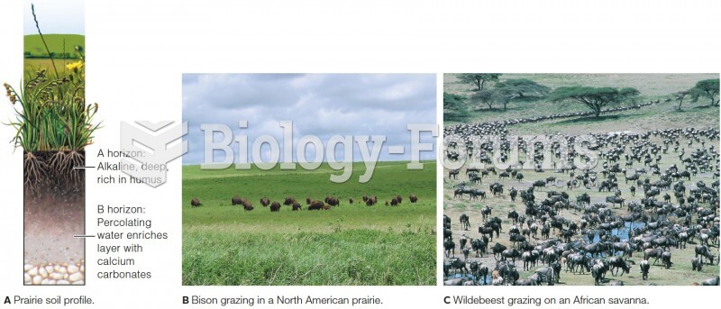 Grasslands animals
