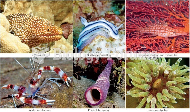 A sample of reef biodiversity