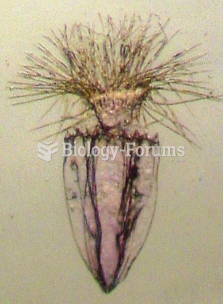 Life in sulfur-rich, anoxic sediments