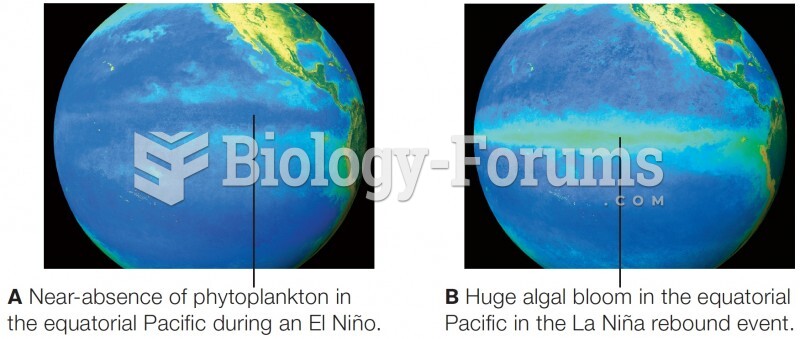 Satellite data on primary productivity in the equatorial Pacific Ocean