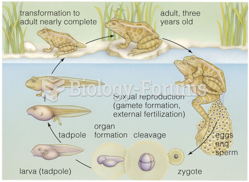 Complete Lifecycle of a Frog