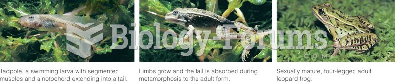 Development of a Frog