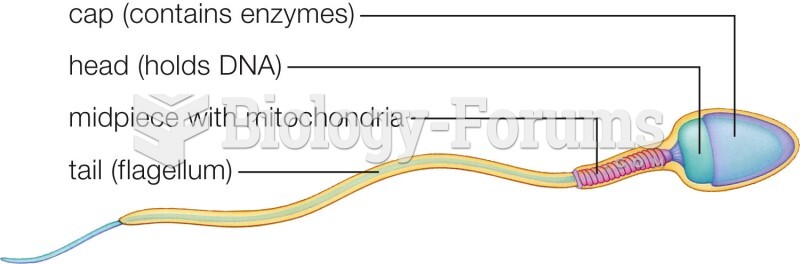 Structure of a mature sperm, a male gamete.