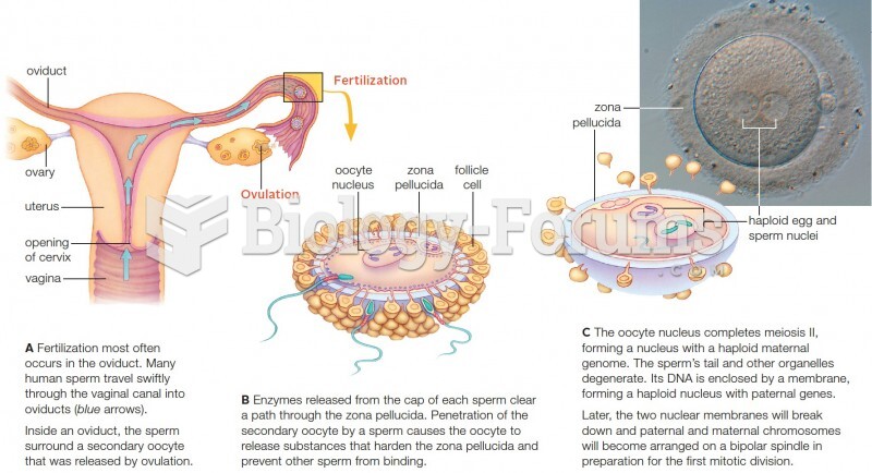 Events in human fertilization. The light micrograph shows a fertilized human oocyte.