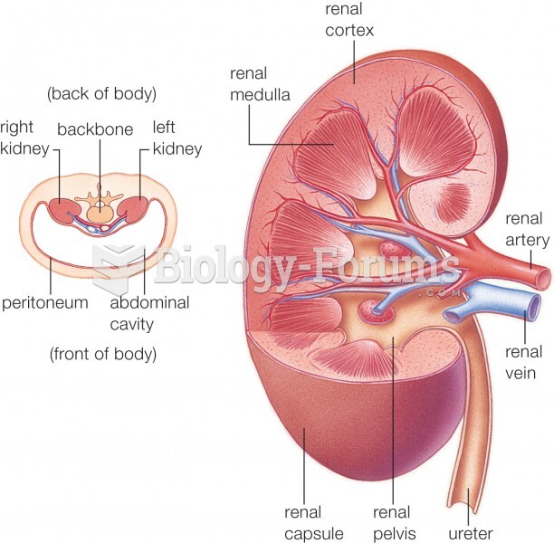 Human urinary system