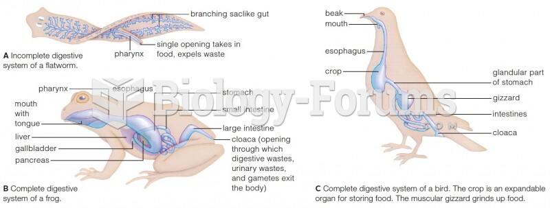 Examples of animal digestive systems.