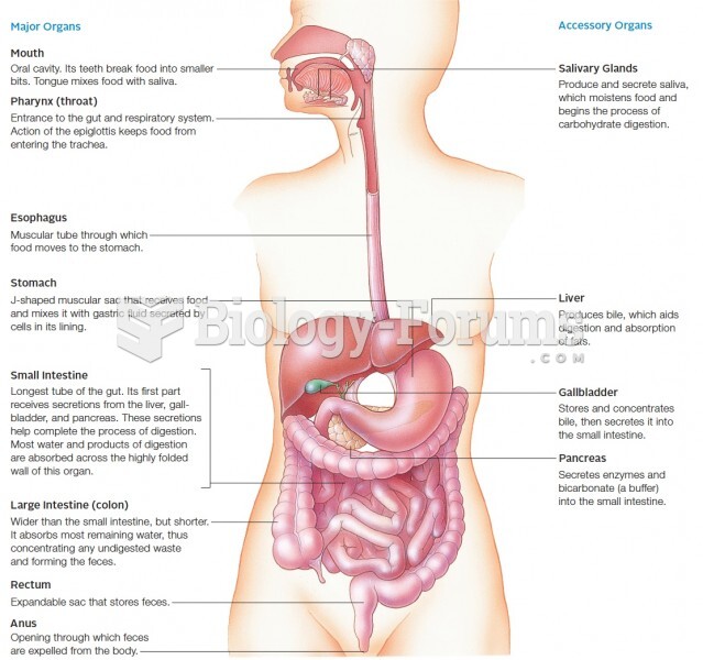 Overview of the components of the human digestive system, together with a brief description of their