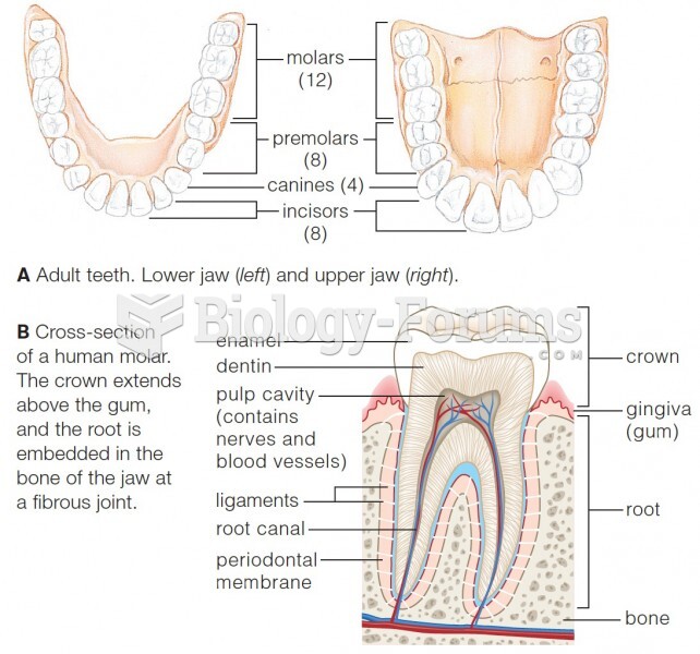 Structure and function of human teeth.