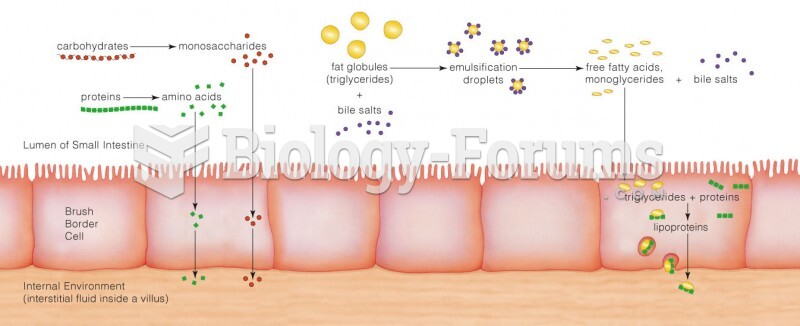 Summary of digestion and absorption in the small intestine