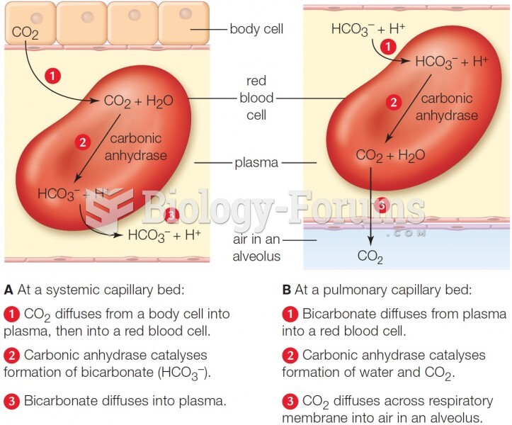 Main mechanism of carbon dioxide transport and exchange. A lesser amount of CO2 travels to the lungs