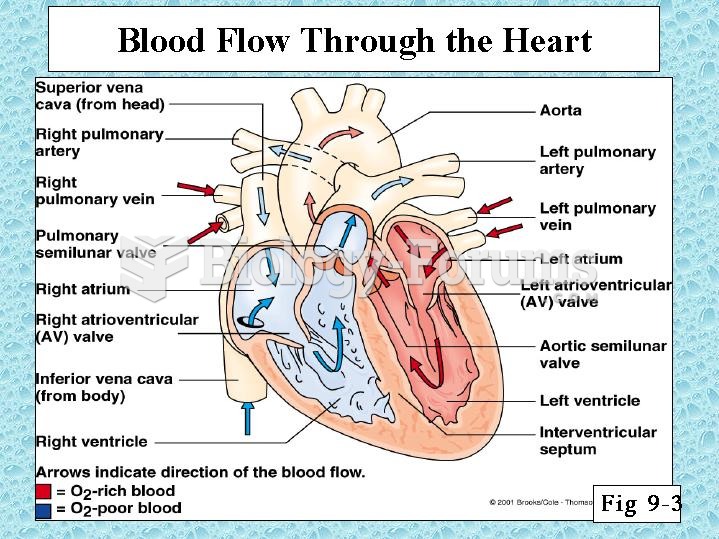 Blood Flow through heart