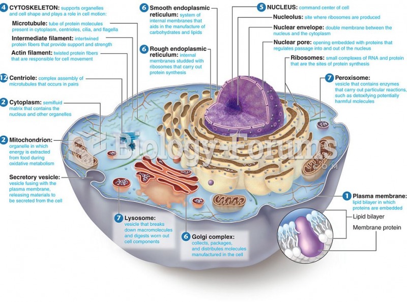 The Eukaryotic Cell