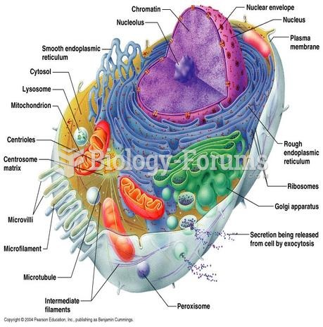 cell structure