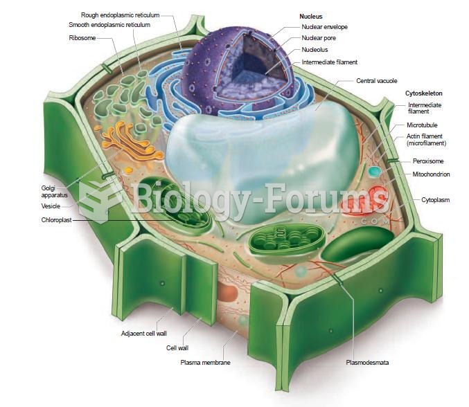 Plant Cell Key