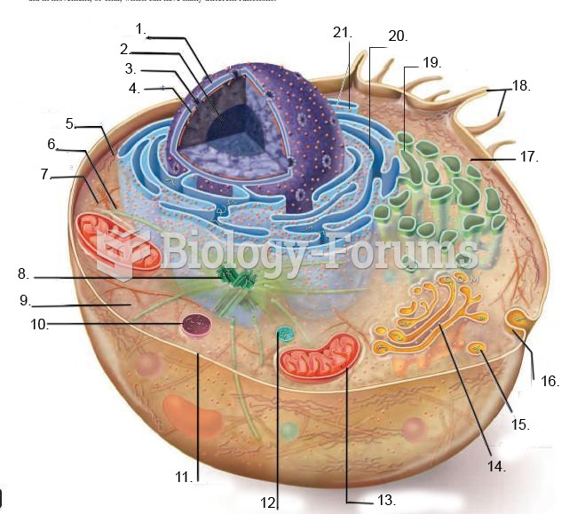 Animal Cell Diagram To Label