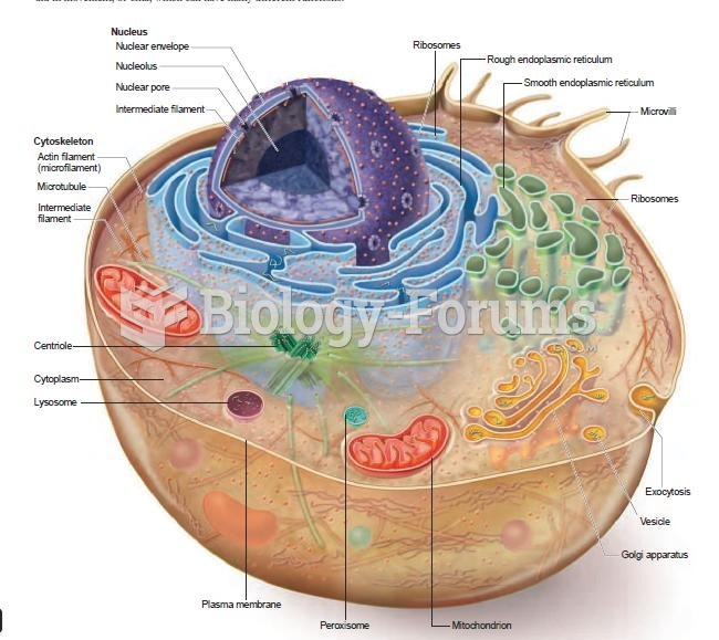 Animal Cell Key