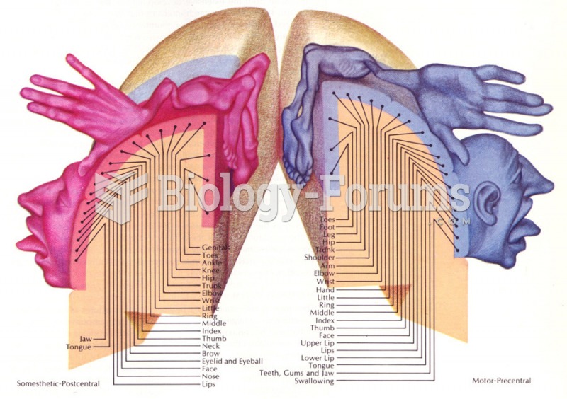 Brain Interpretation and Regions