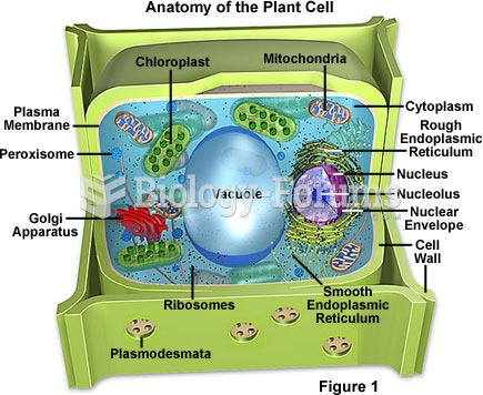 Plant Cell