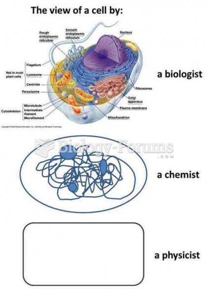 How a Cell is Seen