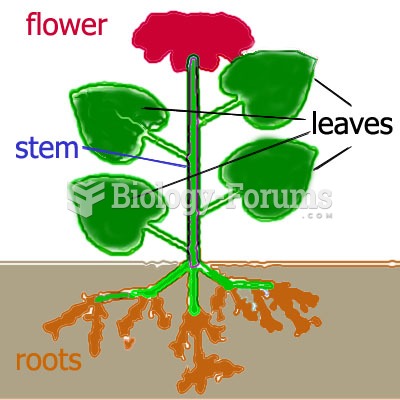 Plant Diagram