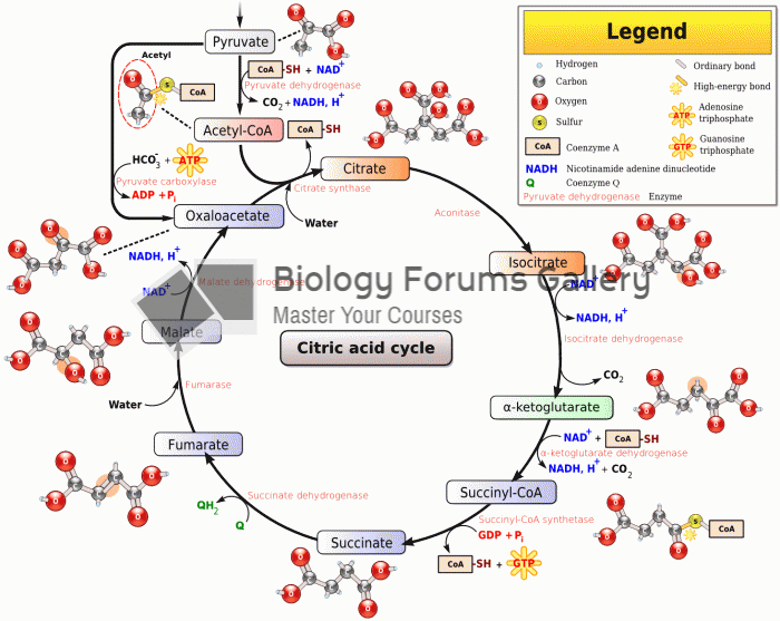 Cellular respiration