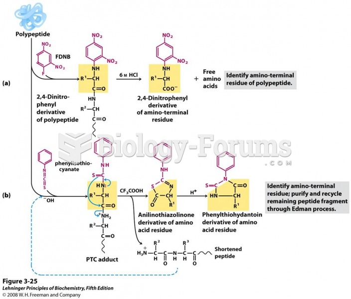 Steps in sequencing a polypeptide