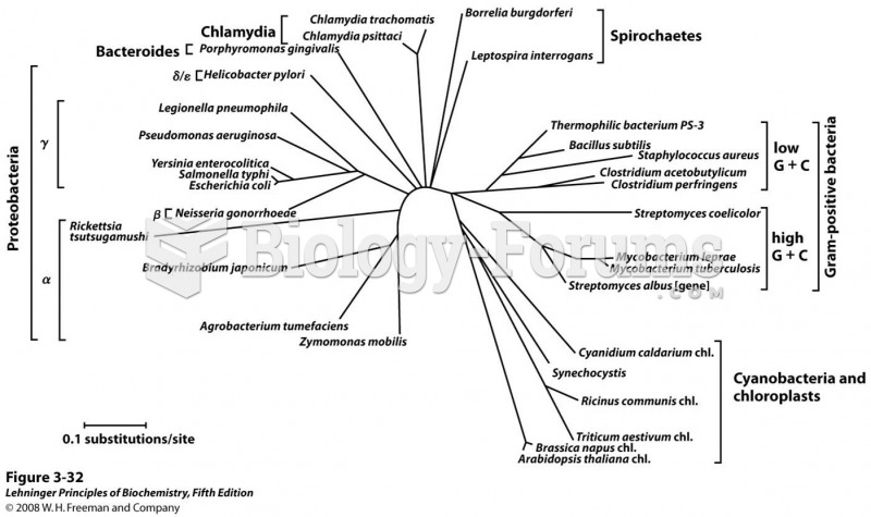 Evolutionary tree derived from amino acid sequence comparisons