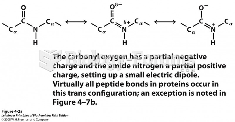 The planar peptide group